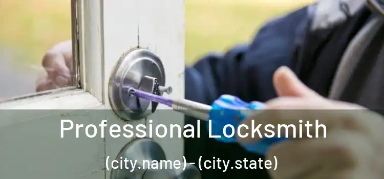 Professional Locksmith (city.name) - (city.state)